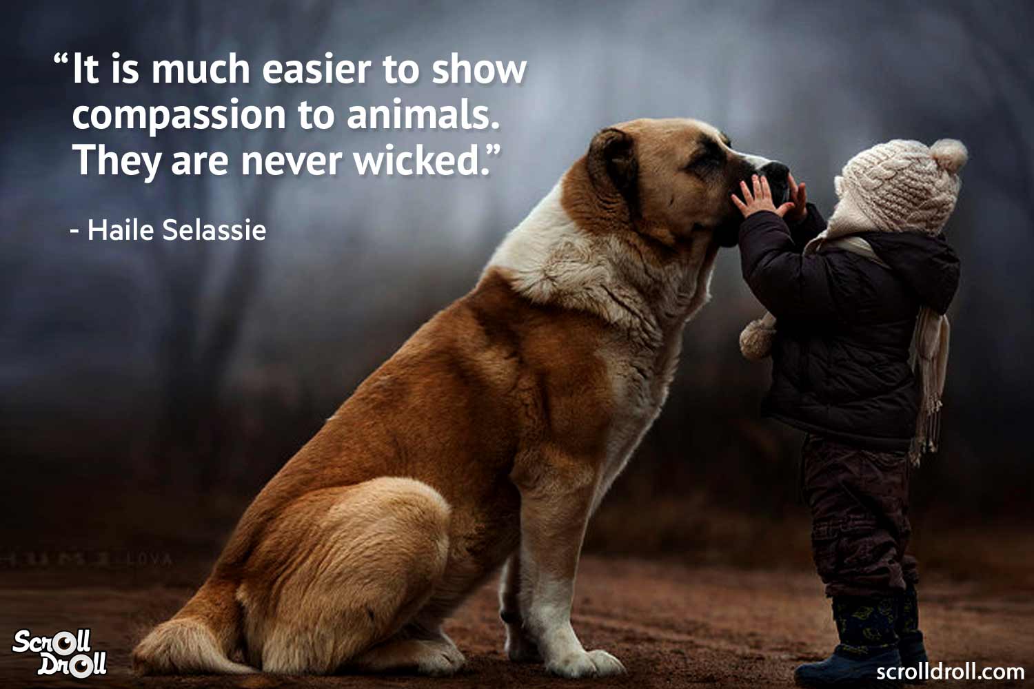 quotes-on-animals-by-famous-people-9 - Stories for the Youth!