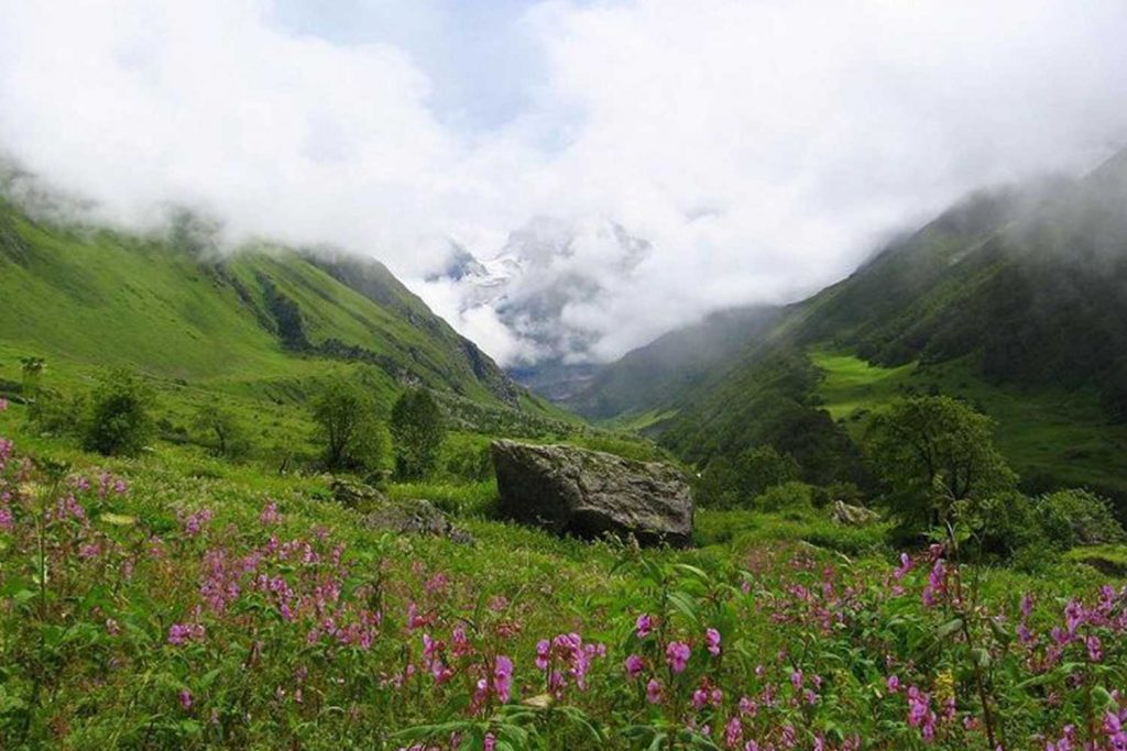 India Natural Wonders - Valley of flowers