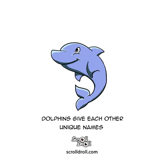 facts about animals- dolphins give each other unique names 
