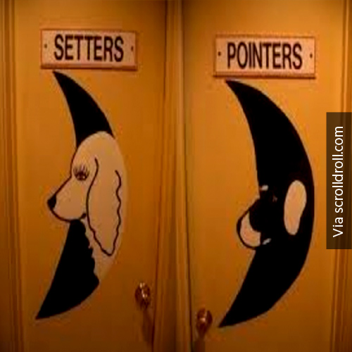 Creative Toilet Signs (12)