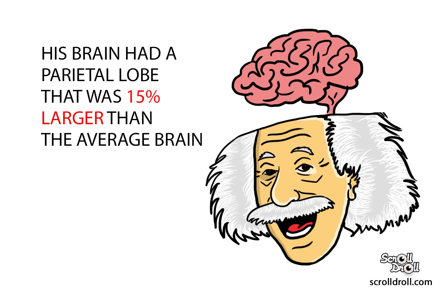 Facts about Albert Einstein