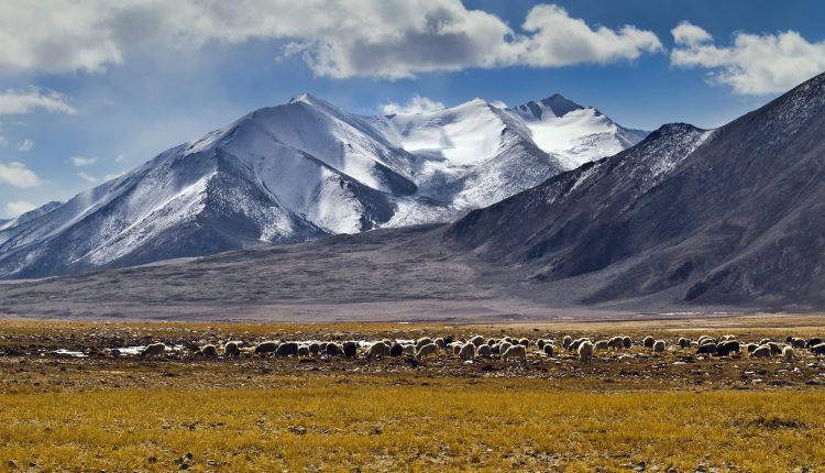 Chusul – Places To Visit In Ladakh