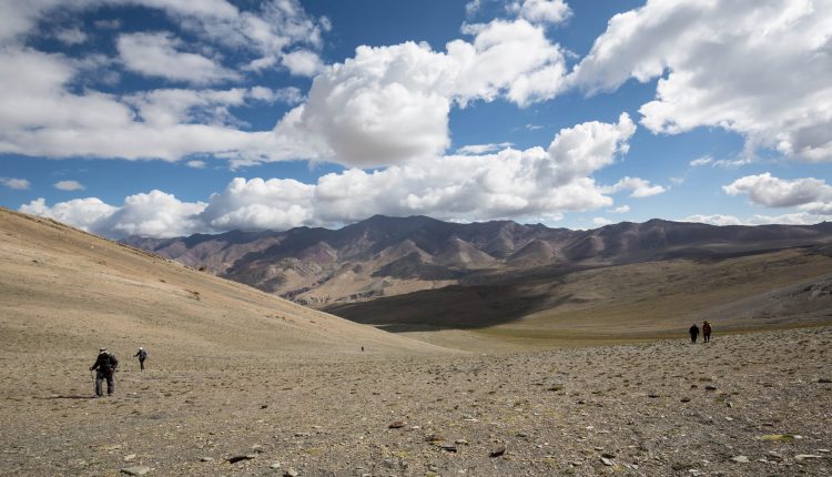 Markha Valley – Places To Visit In Ladakh