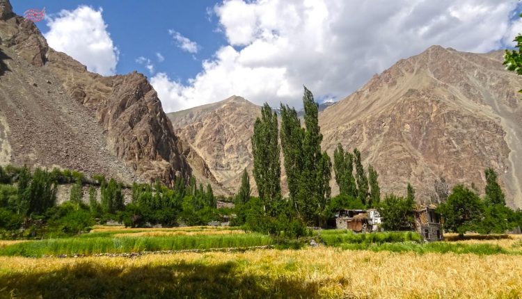 Turtuk – Places To Visit In Ladakh