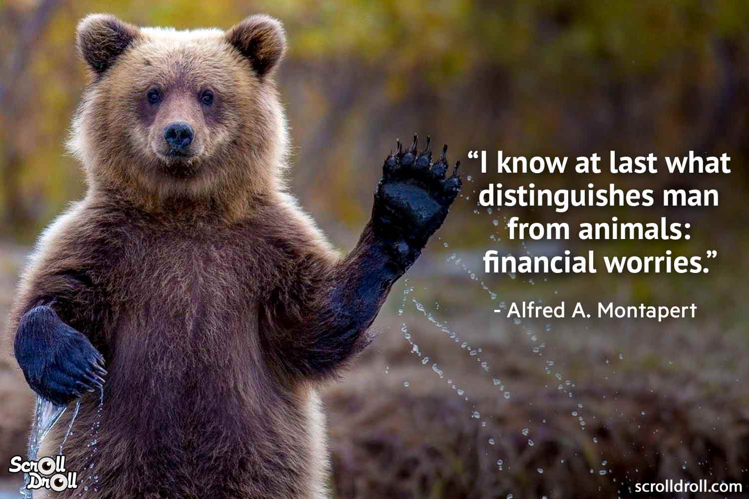 quotes-on-animals-by-famous-people-11 - Pop Culture, Entertainment, Humor,  Travel & More