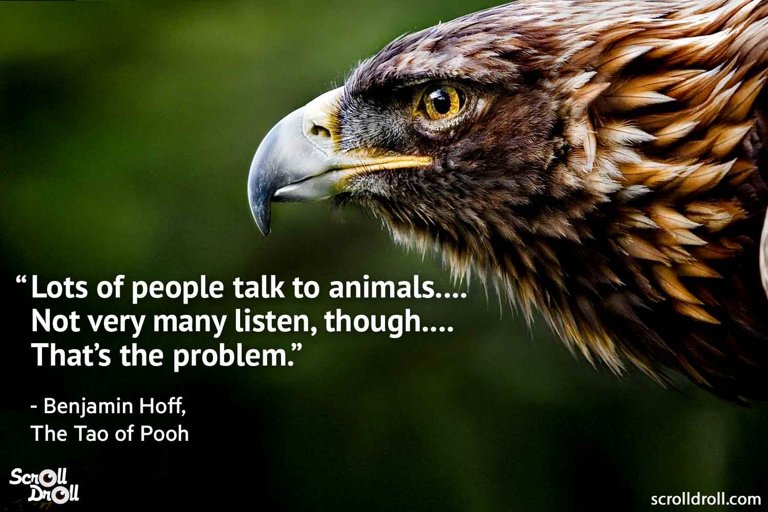 quotes-on-animals-by-famous-people-13