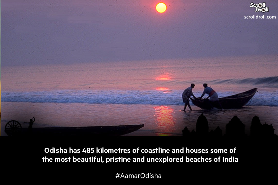 odisha facts (15)