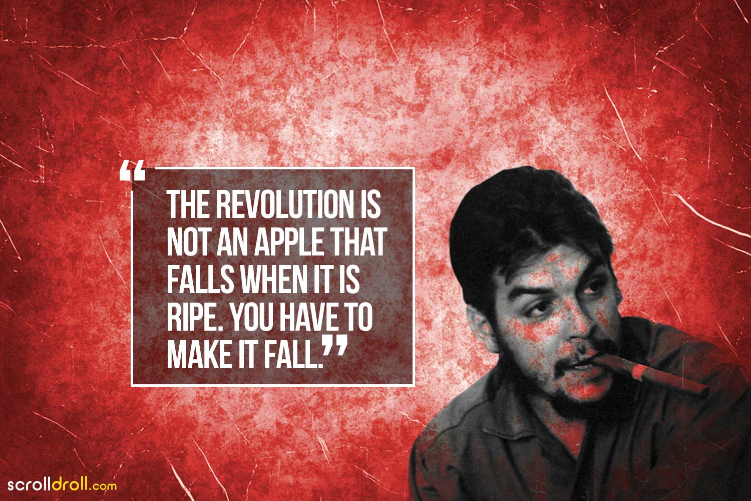 the revolutions not an apple that falls when it is ripe. you have to make it all-che guevara
