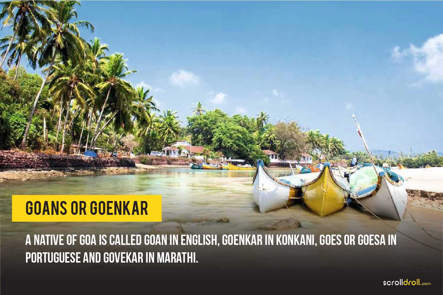 facts about goa 19