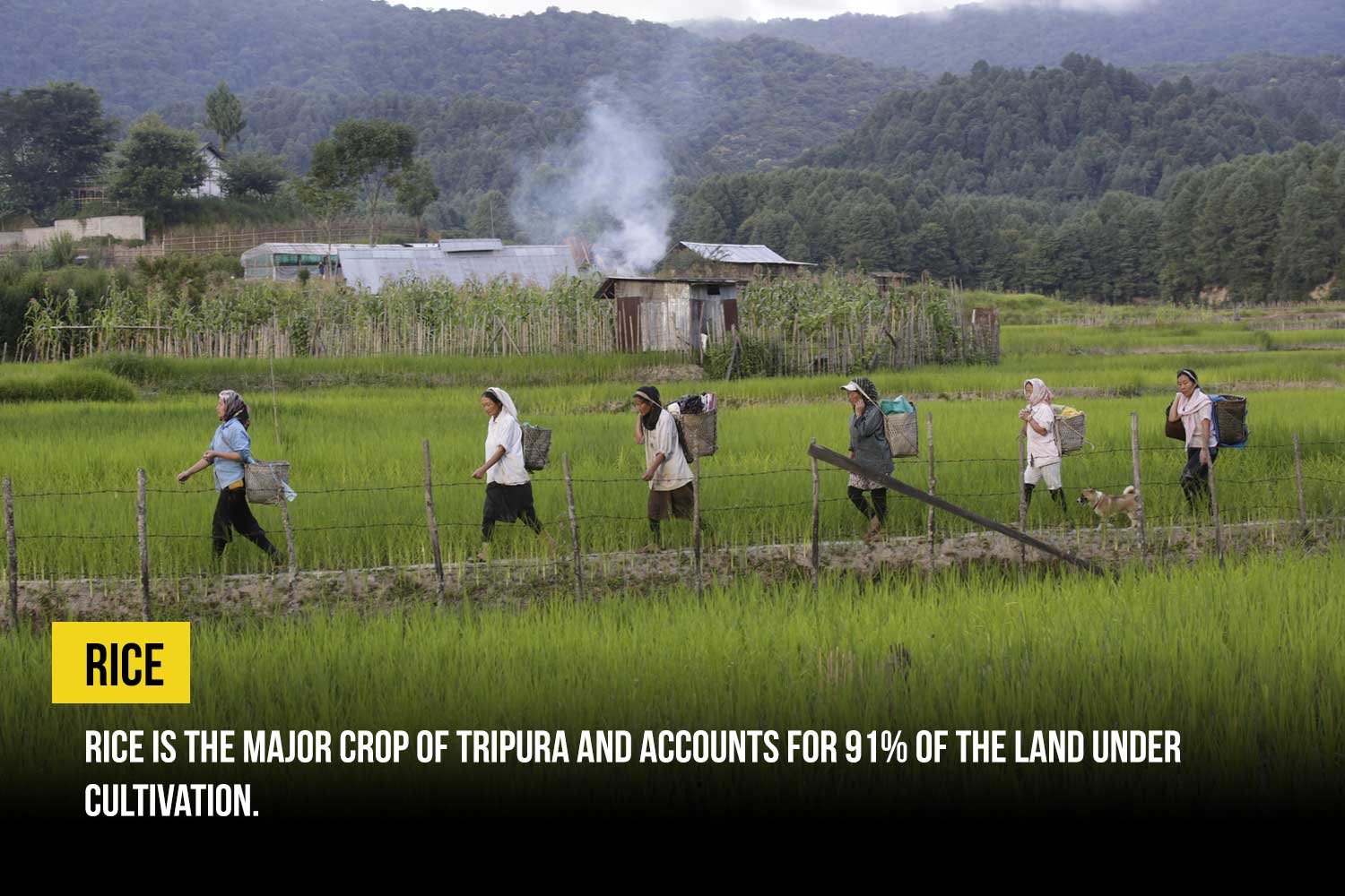 facts-about-tripura-2