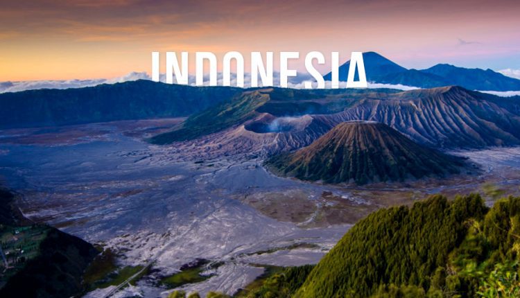Indonesia – International Nature Trips – Featured
