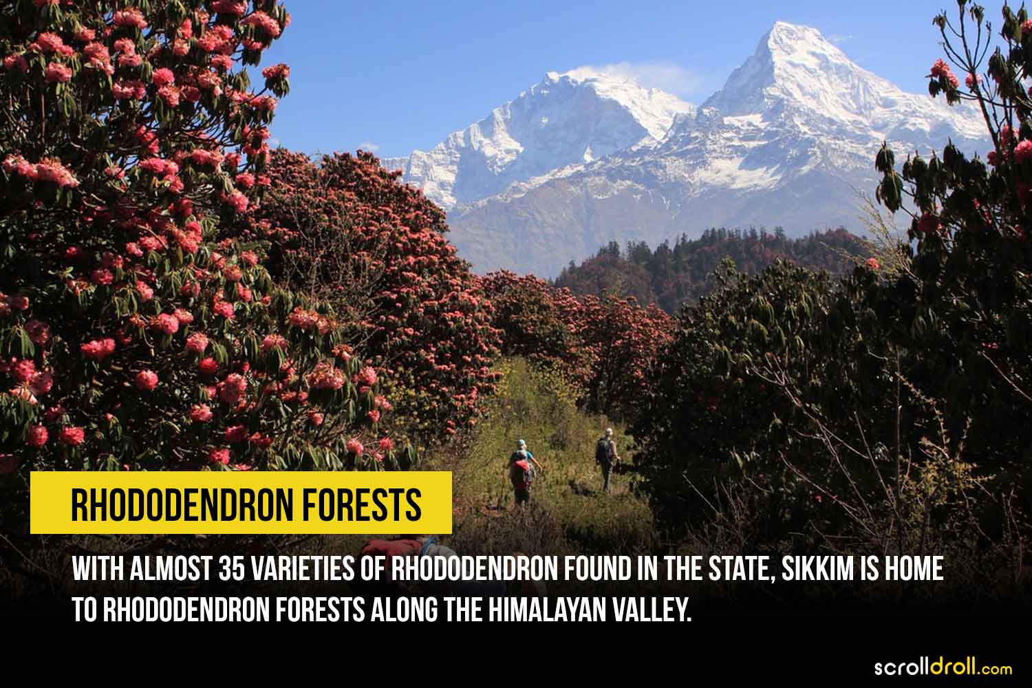 facts-about-sikkim-10