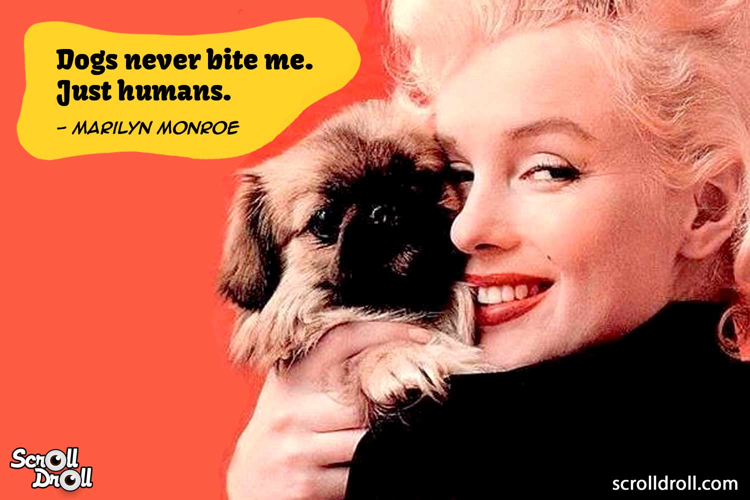 Dog Quotes 1 - The Best of Indian Pop Culture & What's Trending on Web