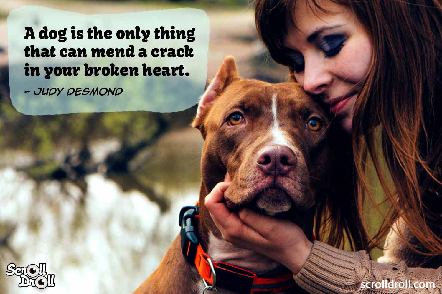 Dog Quotes 15 - The Best of Indian Pop Culture & What's Trending ...