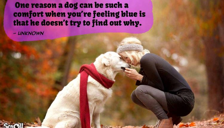 Dog Quotes 4