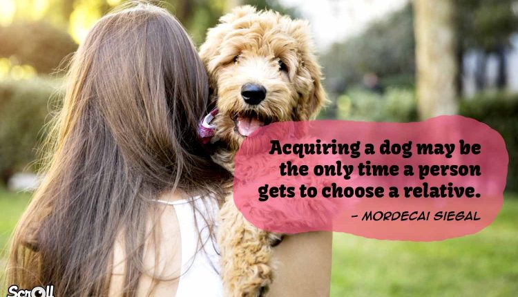 Dog Quotes 5