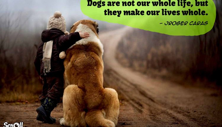 Dog Quotes 7
