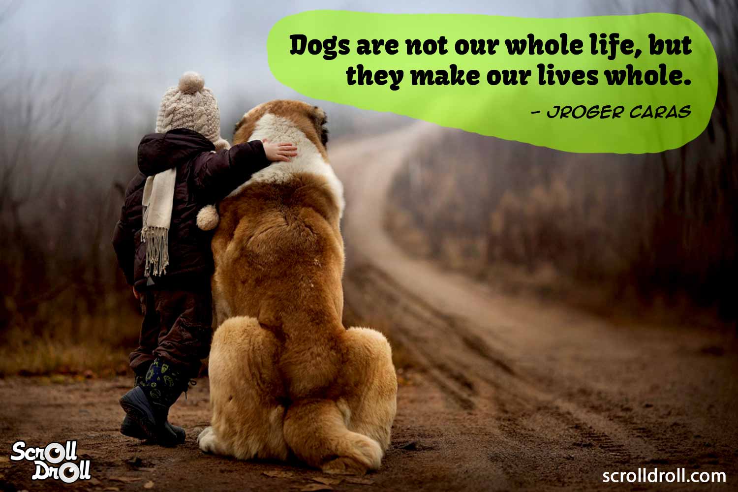 Dog Quotes 7 - The Best of Indian Pop Culture & What's Trending on Web