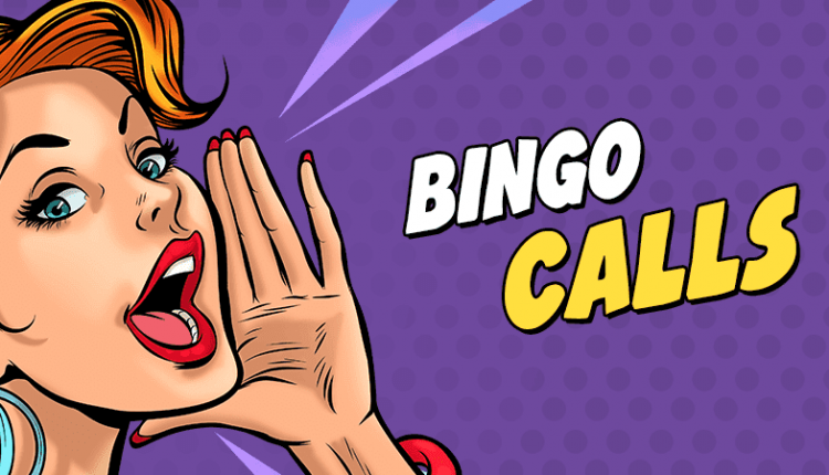 hilarious-bingo-calls