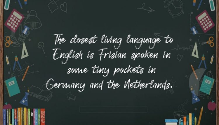 Interesting-facts-about-The-English-Language—13