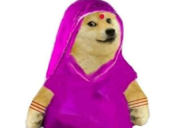doge-mom-wearing-saree-female-Doge-and-cheems-meme-templates