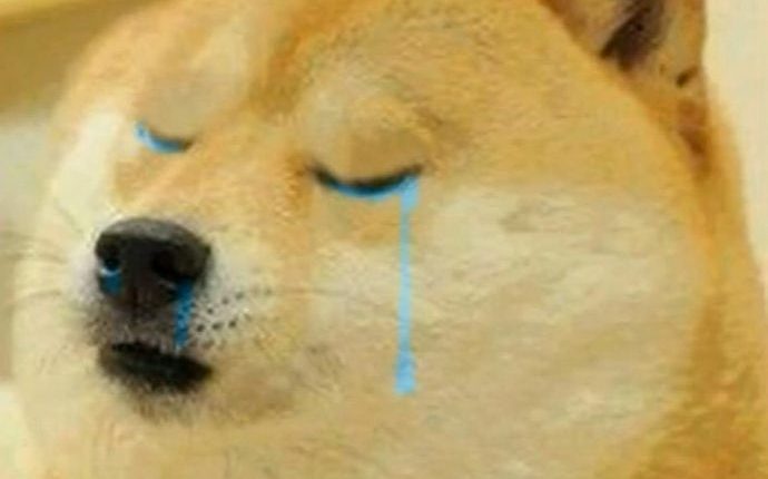 doge-shedding-tears-Doge-and-cheems-meme-templates