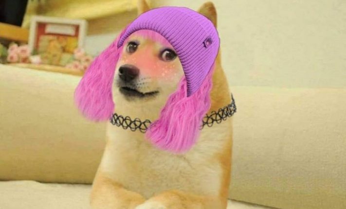 female-doge-girl-pink-hair-Doge-and-cheems-meme-templates