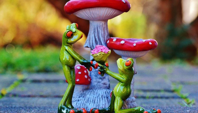 frog-wedding-rituals-involving-animals