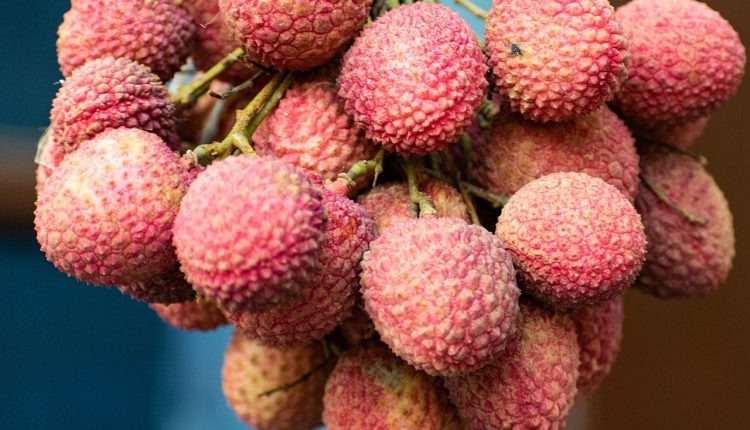 lychee-indian-foods-with-foreign-origins