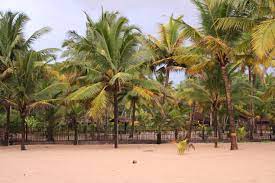 Marari_Beach_lesser-visited-beach-destinations