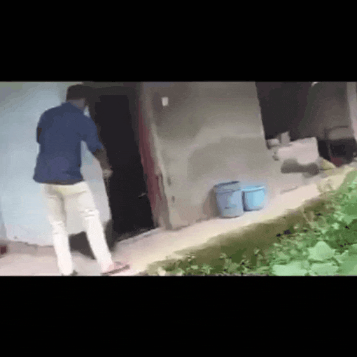 viral-animal-videos-king-cobra-against-guy - The Best of Indian Internet