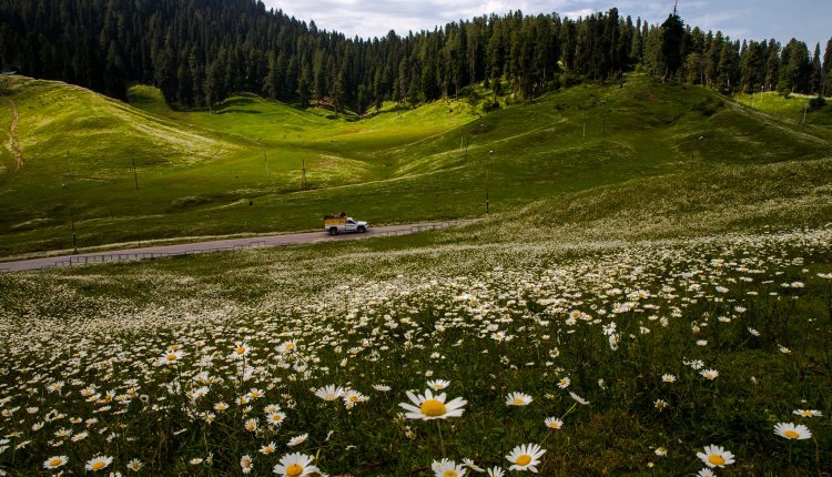 Gulmarg_places-to-visit-in-kashmir