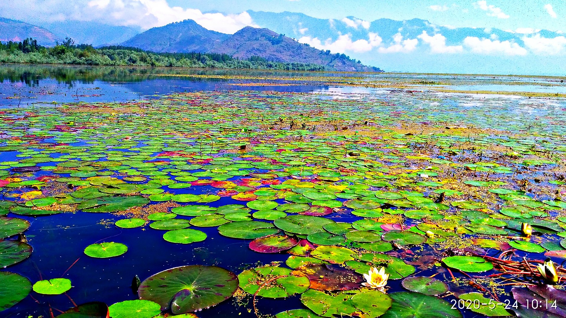 Wular_Lake_places-to-visit-in-kashmir - Pop Culture, Entertainment, Humor,  Travel & More