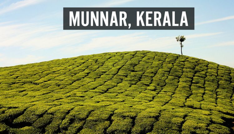 Munnar—places-to-visit-in-india-in-March-featured