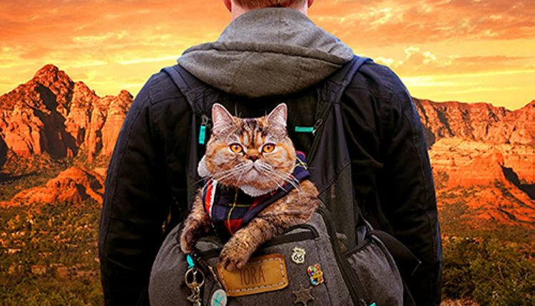 Cat-daddies-hollywood-Movies-Releasing-in-October-2022