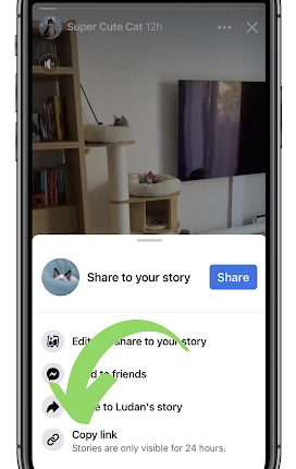 How to Download Facebook Videos and Stories on iPhone -02