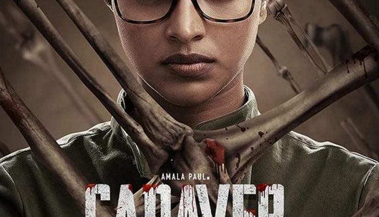 cadaver-Best-Hindi-movies-of-2022-on-Hotstar