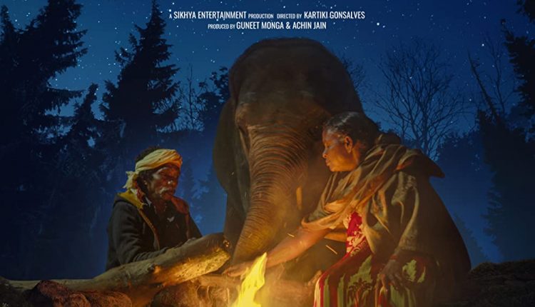 elephant-whisperers-documentaries-of-2022-on-netflix